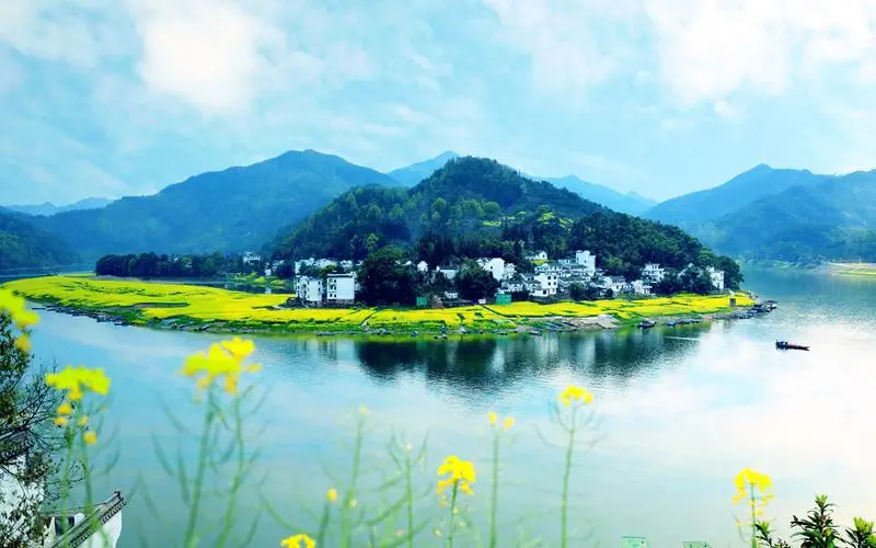 智能高性能高端
